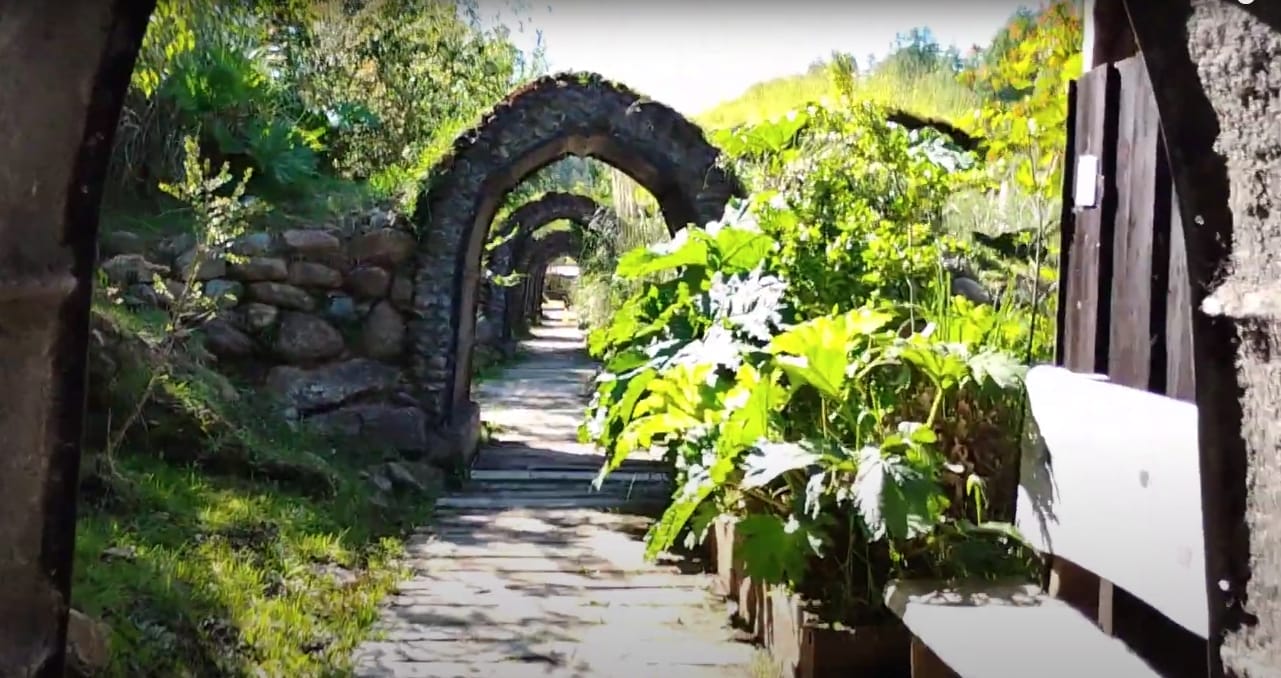 Termas Rañintulelfu de Huilo Huilo