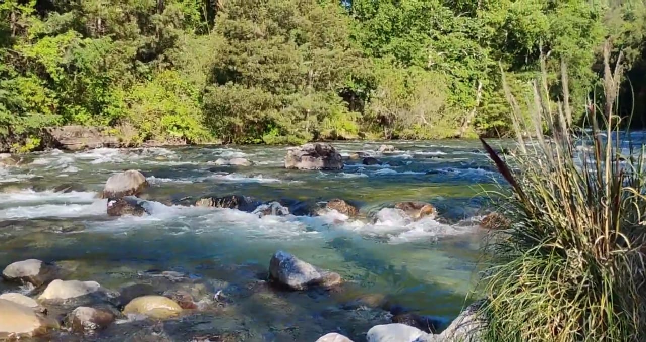 Termas Rañintulelfu de Huilo Huilo