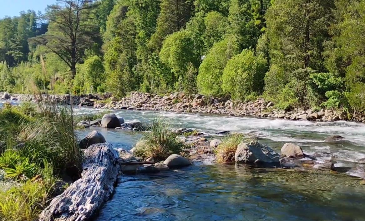 Termas Rañintulelfu de Huilo Huilo